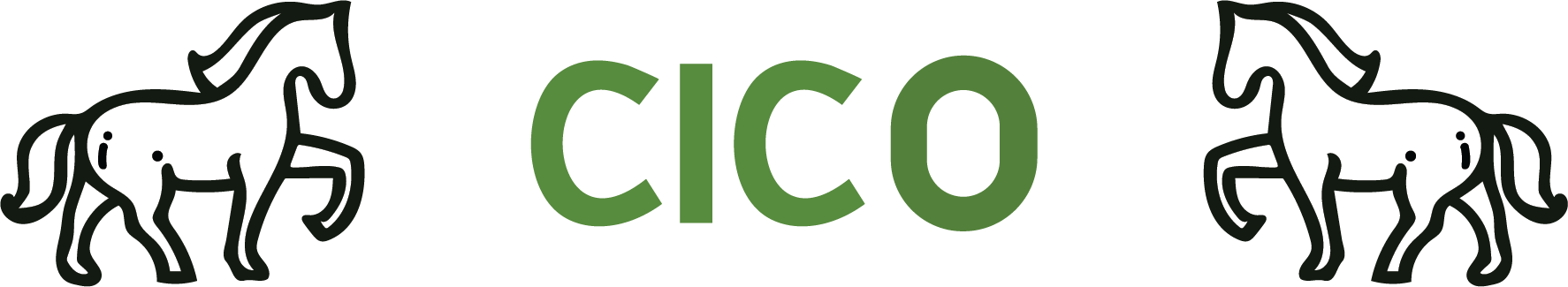 CICO LTD